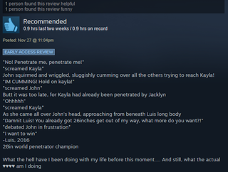 Illustration for article titled Genital Jousting, As Told By Steam Reviews